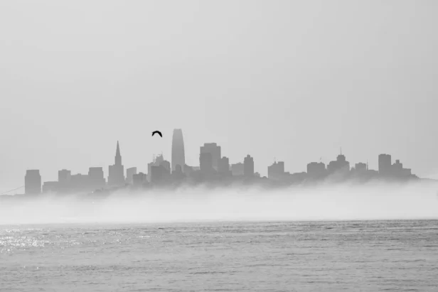 I don't see an image attached to generate alt text for. Could you please share the photo that needs an alt text description?