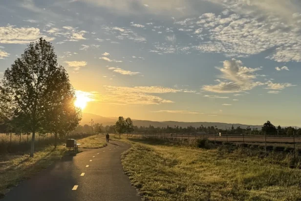 A sprawling green park with open fields and trees under a partly cloudy sky in San Jose, California.
