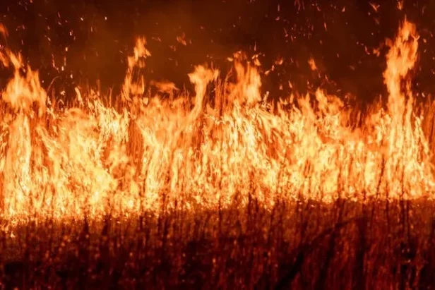 A house with security tape and police vehicles outside after a Molotov cocktail attack on OpenAI CEO Sam Altman's residence.