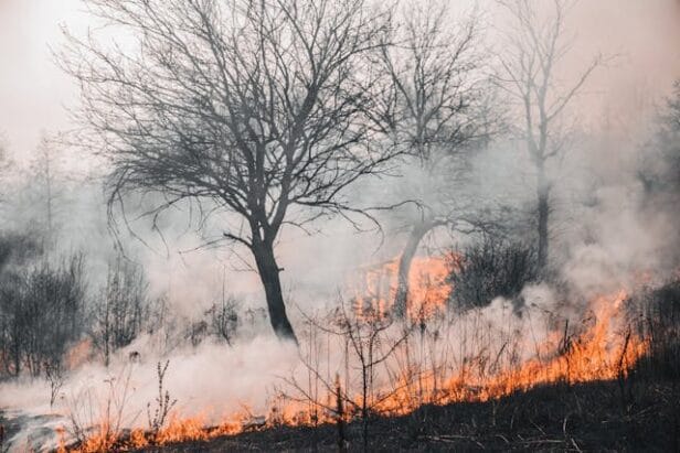 A California homeowner examines insurance documents outside their house as wildfires burn in the distant hills.